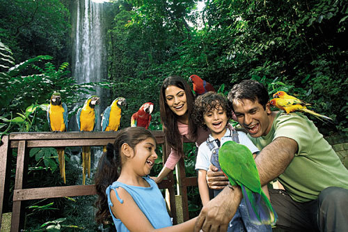 SINGAPORE-Jurong-Bird-Park