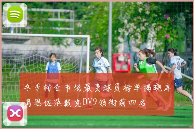冬季转会市场最贵球员榜单揭晓库鸟恩佐范戴克DV9领衔前四名